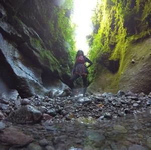 Meet your Posher, Sharia